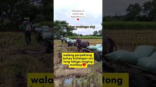 Kahit nahihirapan tayu sa buhay dapat maging matibay tayo sa lahat lahat♥️🙏viralshorts viralvideo [upl. by Timms]