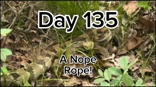 Rattlesnakes In NY  AT ‘24  Adventure Therapy [upl. by Sahpec]