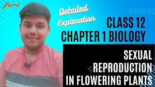 Sexual Reproduction in Flowering Plants in Part 1CBSE Class 12 biologyNCERT Biology [upl. by Matthei]