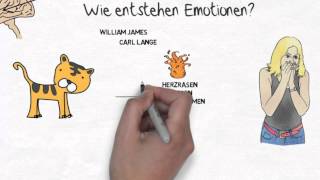 ichkurs Emotionen erkennen JamesLangeTheorie der Emotion [upl. by Alvis]