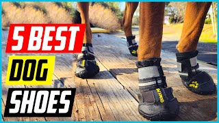 Best Dog Shoes 2021 Top 5 Picks [upl. by Iru424]