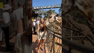 KENYA SAFARİ GEZİSİ Detaylar için yorum yaz shorts safari kenya afrika gezgin [upl. by Theis]