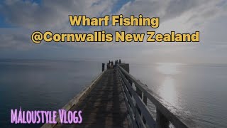 Wharf Fishing  Cornwallis New Zealand [upl. by Tran]