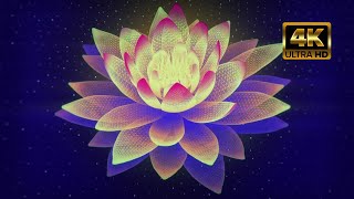 532 Hz Meditation Music  Relax Mind  Sacred Lotus InnerPeace ASMRMeditation Mindfulness [upl. by Carling418]