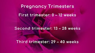 Pregnancy Trimesters [upl. by Nuaj]