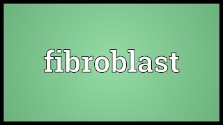 Fibroblast Meaning [upl. by Leimaj]