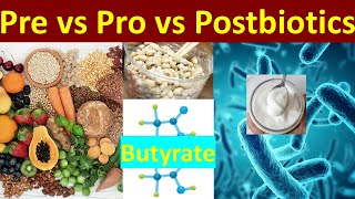 Cho Katsu 2 Pre Pro amp Postbiotics  The Gut Health Trinity [upl. by Okwu]