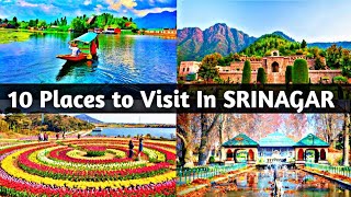 10 Famous Places to Visit in Srinagar District  Srinagar Famous Tourist Attractions  The Honest [upl. by Esil]