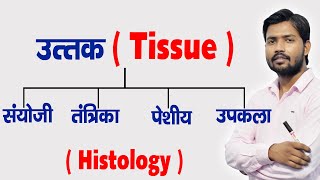 Types of Human Tissue  Tissue Functions  Histology in Hindi [upl. by Eetnuahs]