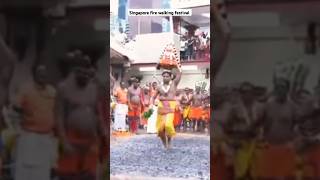 Singapore fire walking festival 2024 mariyamman kovil chinatown [upl. by Bibbye]