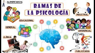 Ramas De La Psicología  Resumen  Vídeos Educativos [upl. by Kline]