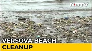 How Mumbais Versova Beach Celebrated World Environment Day [upl. by Aniled625]