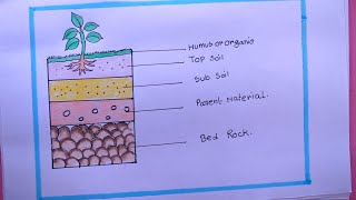 How To Draw Soil Profile EasyDraw Layers Of Soil Diagram [upl. by Nicholl834]