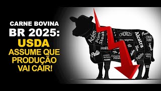 CARNE BOVINA BR 2025 USDA ASSUME QUE PRODUÇÃO VAI CAIR [upl. by Capriola597]