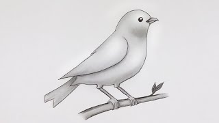 Simple Bird Drawing  Easy Pencil Sketch and Shading drawing [upl. by Burnside]