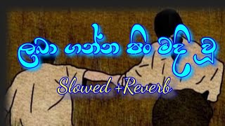 Laba ganna pin madiu  ලබා ගන්න පිං මදි වූ Slowed And Reverb New Sinhala Songs [upl. by Neirb]