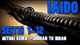 Iaido Seitei  Shodan to Nidan  Reality Check [upl. by Tacita272]