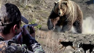 A breathtaking confrontation between the bear and the hunter part 4 [upl. by Serles]