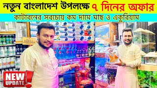 Aquarium Price In Bangladesh🔥Aquarium Fish Price In Bangladesh😱 Aquarium Fish Price In katabon [upl. by Alrrats]