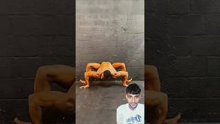 Man transforms into a real Spider 🕷️ in AGT Americas got talent 😱 Duo Schumacher agtmagic omg [upl. by Blaire]