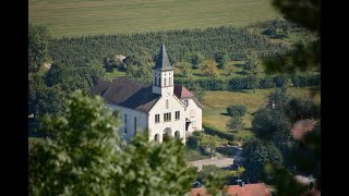 E1 1015 von Singen Hohentwiel nach Güttlingen [upl. by Oijimer]