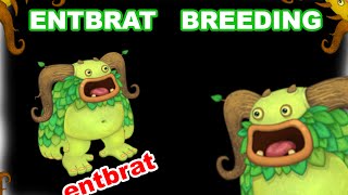 My Singing Monsters How To Breed Entbrat in Plant Island and SOUND [upl. by Galan839]