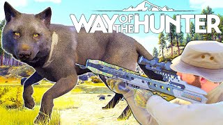 My First Melanistic Male Wolf with The New Bear Archery Crossbow  Way of the Hunter [upl. by Notlew327]