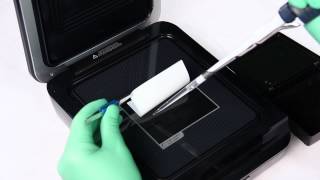 How to Place a Blot on the C‑DiGit Scanner [upl. by Rola221]