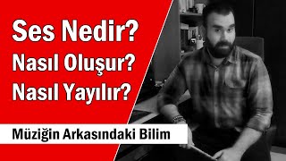 Ses Nedir Ses Nasıl Oluşur amp Nasıl Yayılır  Müziğin Arkasındaki Bilim [upl. by Regnij196]