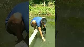 MAGPAKASAYA SA SEMPLENG PAMAMARAAN KAHIT WALANG PERA funny fishing [upl. by Herrod]