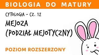 Cytologia 12  Mejoza podział mejotyczny  biologia rozszerzona przygotowanie do matury z biologii [upl. by Llorre]