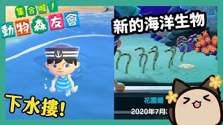 【集合啦！動物森友會動物之森】7月3日更新潛水系統開放下海游泳新的潛水衣新的海洋生物圖鑑來收集 [upl. by Enram442]