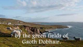 Irish song  Green Fields of Gweedore [upl. by Ayekehs]