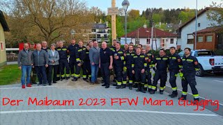 Der Maibaum 2023 FF Maria Gugging Klosterneuburg [upl. by Eecyaj919]