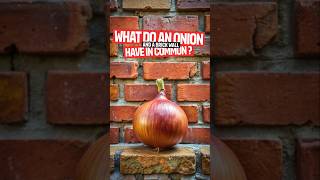 What do an anion and a brick wall have in common 🧅🧱 [upl. by Dhaf]