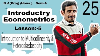 25 Introduction to Multicollinearity amp Heteroskedasticity  Introductory or Basic Econometrics  Du [upl. by Ring]