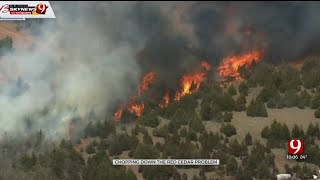 Fighting Fire With Fire Oklahoma Begins Pilot Program To Control Red Cedar Trees Wildfires [upl. by Eniamsaj]