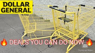 Dollar General 🔥 Digital Coupon Deals You Can Do Now 🔥 August 2024 [upl. by Henry]