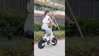 U1 Folding Electric Bike [upl. by Ariajay594]