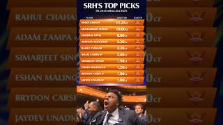 SRHS Top Picks In IPL Mega Auctions 2025🔥 shorts actualdata ipl2025 ipl srh2025 srh cricket [upl. by Bigler759]