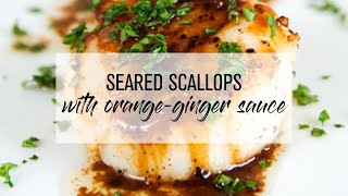 Seared Scallops with OrangeGinger Sauce [upl. by Karlan555]