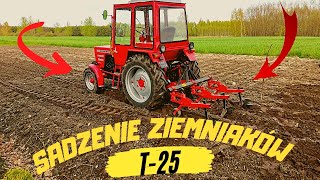 Ręczne Sadzenie ziemniaków Obsypnik i T25 w akcji [upl. by Anirtal]