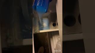 Handdoeken wasje 50 graden 1400 toeren shorts asmr wasmachine [upl. by Assir]