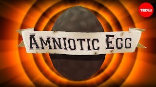 The gamechanging amniotic egg  April Tucker [upl. by Ikaz]