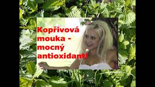 Kopřivová mouka  mocný antioxidant [upl. by Ayekim200]