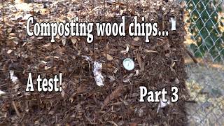 Can you compost wood chips Part 3 [upl. by Eenwahs]