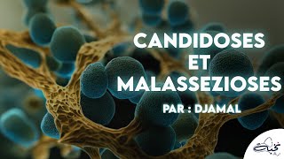 Parasitolgie  Candidoses et malassezioses  QCMs Par DJAMEL [upl. by Starlin]