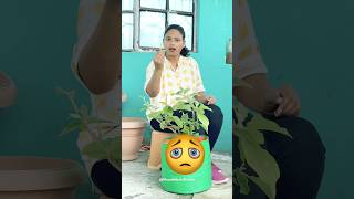 Brinjal ne Ninni se Rote hue Paani Kyun Maanga 😱 [upl. by Normalie313]