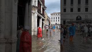 Que paso en Venecia italia venezia traveldestinations destinosincreibles travel [upl. by Cissiee]