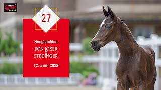 27 Hengst v Bon Joker  Stedinger [upl. by Attiuqaj]